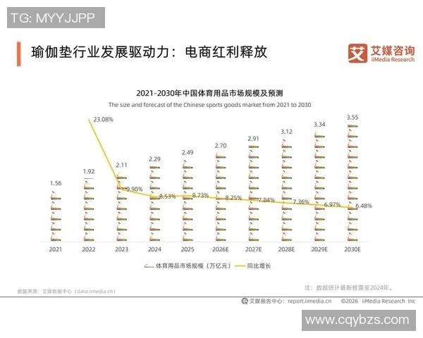 体育用品品牌电商业绩分析与市场趋势探讨助力品牌发展新机遇