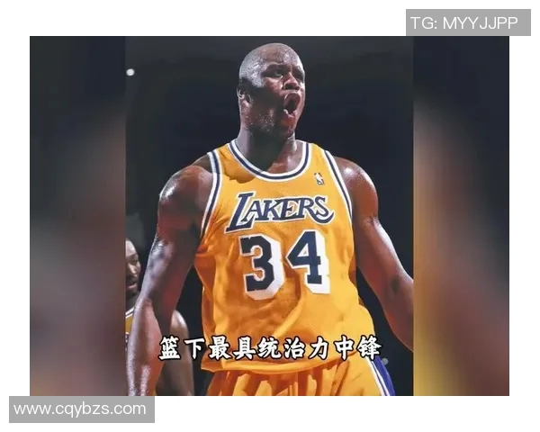 篮球霸主与篮球明星的辉煌历程与传奇故事探秘